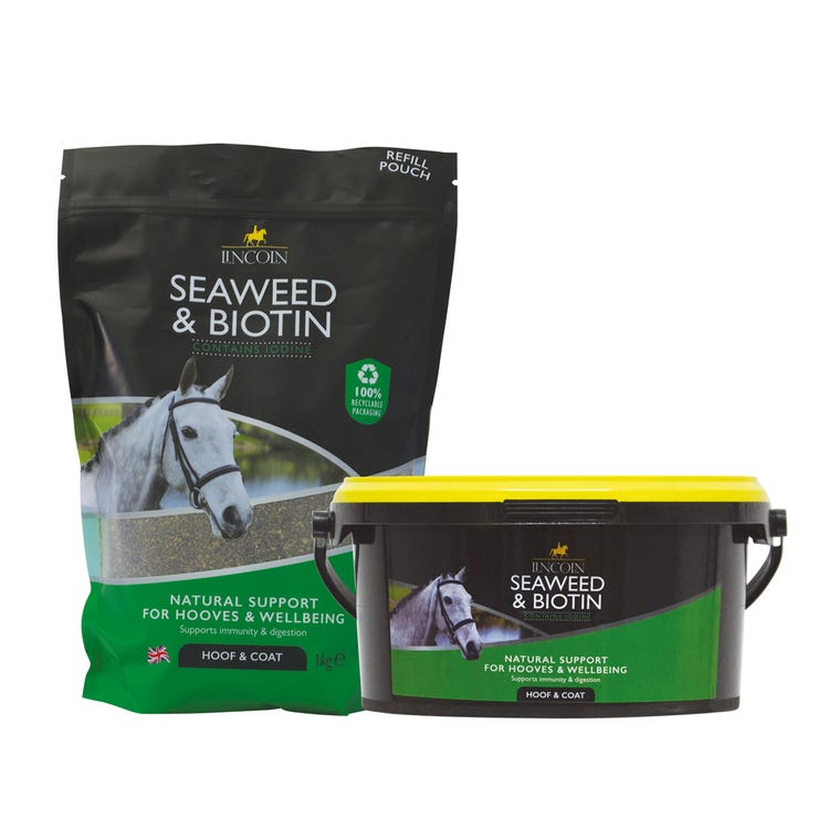 Lincoln Seaweed &amp; Biotin - Tub &amp; Pouch Bundle image 1